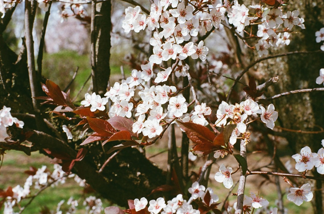 Welcome to 140 Custer Association Homeowners Association!